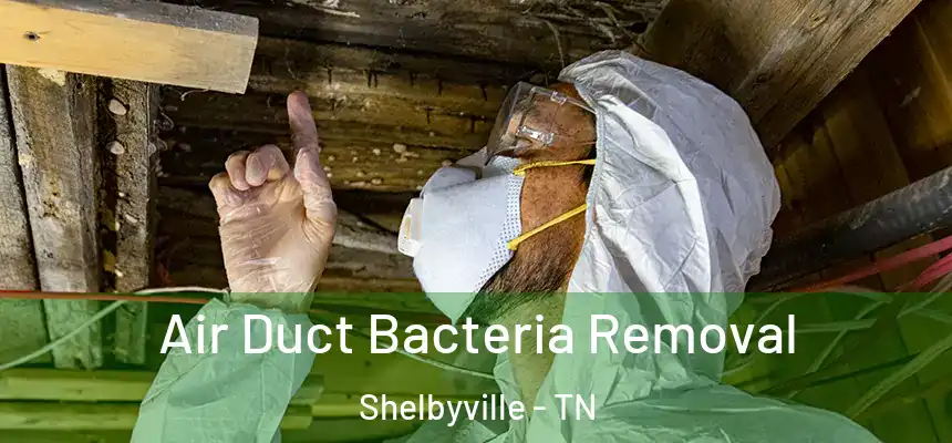  Air Duct Bacteria Removal Shelbyville - TN