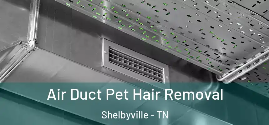 Air Duct Pet Hair Removal Shelbyville - TN
