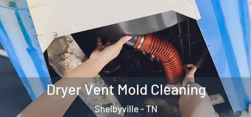  Dryer Vent Mold Cleaning Shelbyville - TN