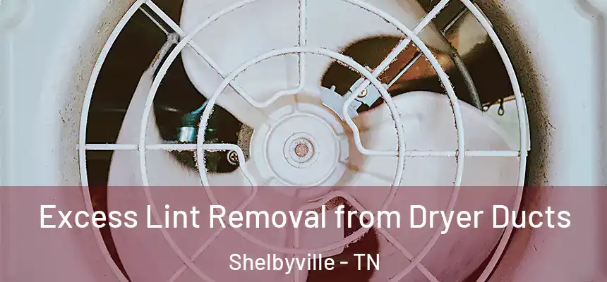 Excess Lint Removal from Dryer Ducts Shelbyville - TN