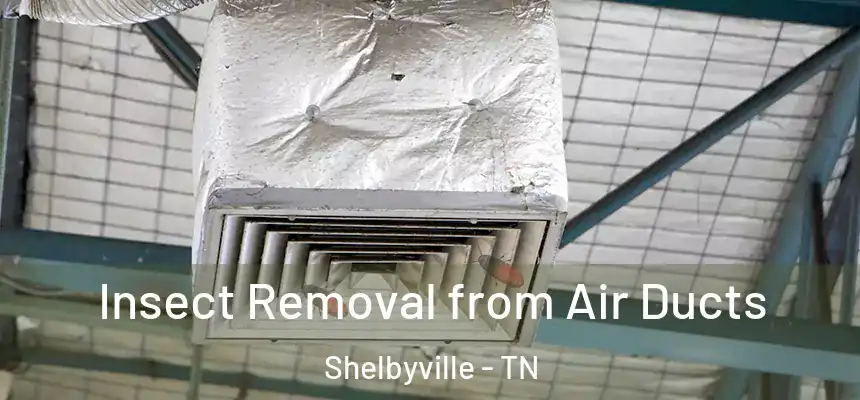  Insect Removal from Air Ducts Shelbyville - TN