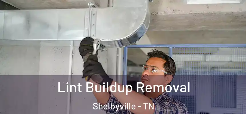  Lint Buildup Removal Shelbyville - TN