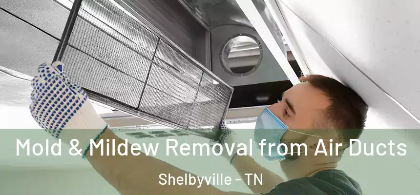 Mold & Mildew Removal from Air Ducts Shelbyville - TN
