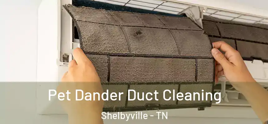 Pet Dander Duct Cleaning Shelbyville - TN