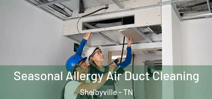 Seasonal Allergy Air Duct Cleaning Shelbyville - TN