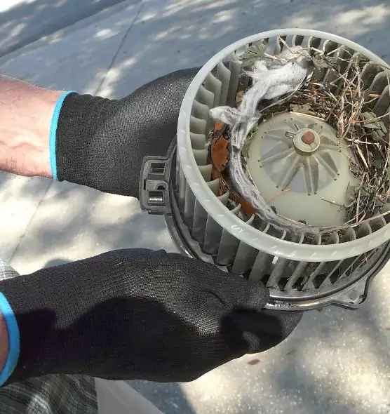 About Air Duct Mice Removal in Shelbyville, TN