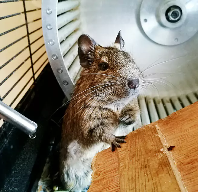 Why Homeowners & Businesses Trust Us Shelbyville, TN?