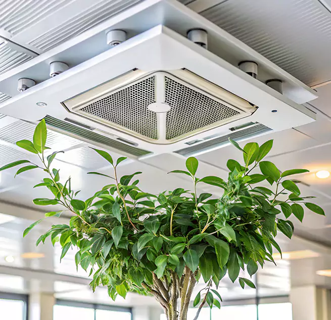 Why Homeowners & Businesses Trust Us in Shelbyville, TN?