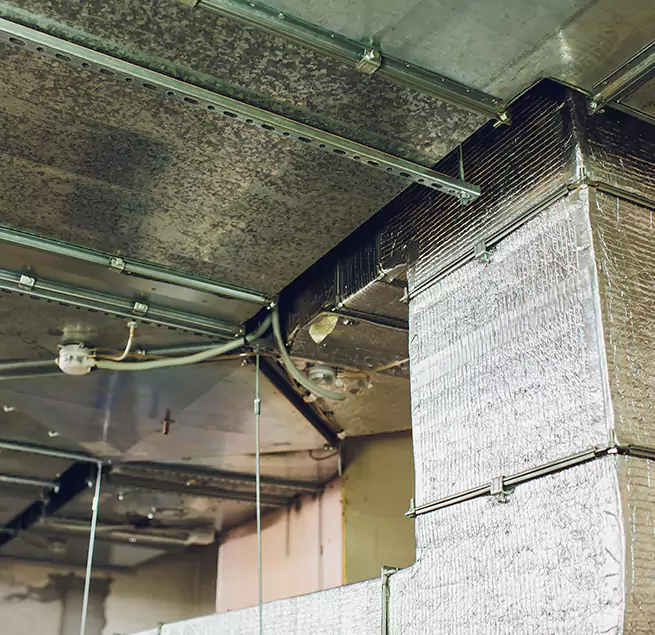 Why Homeowners & Businesses Trust Us in Shelbyville, TN?